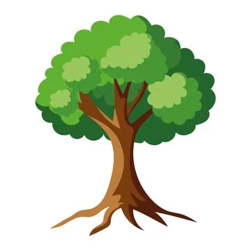 Elm tree isolated Stock Illustration