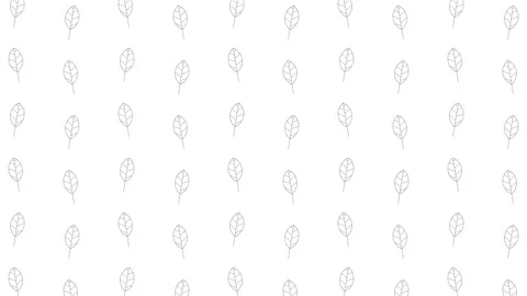 Elm tree leaves black thin line icons on a white background. Seamless loop Stock Footage 162322701
