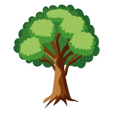 Elm tree leaves Stock Illustration