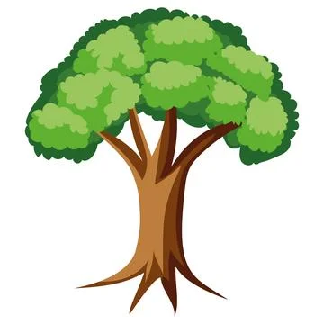 Elm tree nature Stock Illustration
