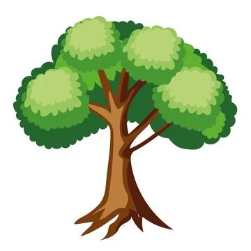 Elm tree plant Stock Illustration