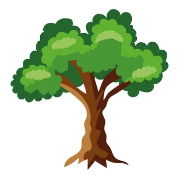 Elm tree on white background Stock Illustration