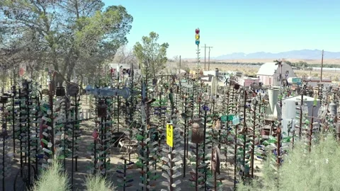 Elmer's Bottle Tree Ranch 2 Video stock 159297916