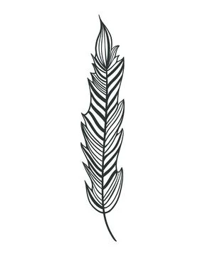 Elongated isolated bird feather, vector illustration. Illustrazione stock