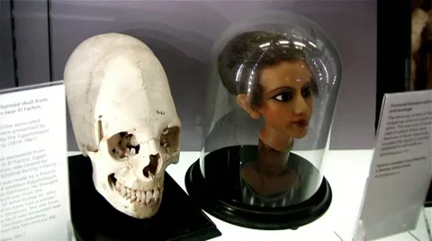 Elongated skull Stock Footage 11463736