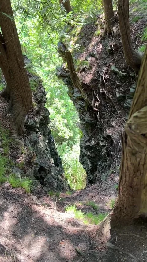 Elora Canada Aug 21, 2026 Deep limestone crevice and rock formations Stockbeeldmateriaal 344828499