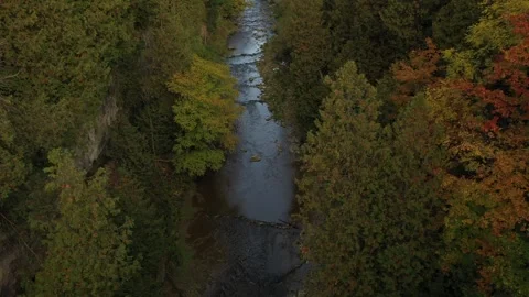 Elora river forward looking down Stock Footage 184641177