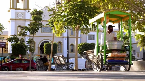 Elotero Stock Footage 146821761