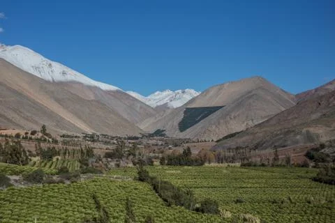 ELQUI VALLEY Stock Photos