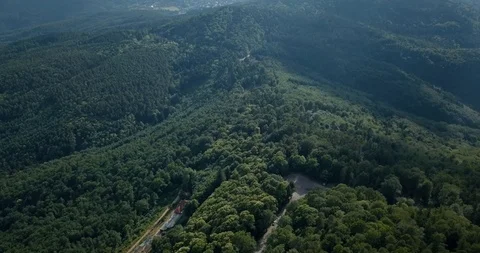 Elsass forest aerial view Stock Footage 87449979