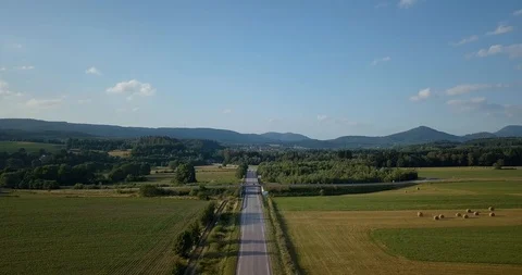 Elsass forest aerial view Stock Footage 87450146