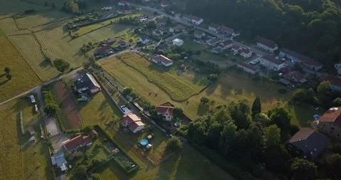 Elsass forest aerial view Stock Footage 87450536