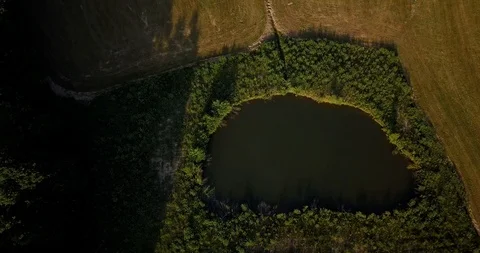 Elsass forest aerial view 库存影片 87450986