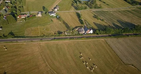 Elsass forest aerial view 库存影片 87451069