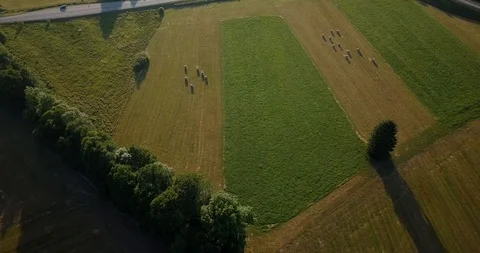 Elsass forest aerial view 库存影片 87451224