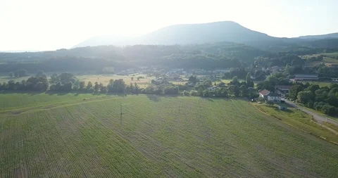 Elsass forest aerial view 库存影片 87451289