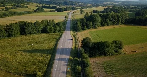 Elsass forest aerial view 库存影片 87451337