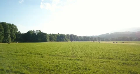 Elsass forest aerial view 库存影片 87451409