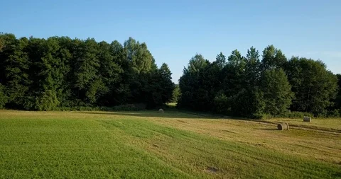 Elsass forest aerial view 库存影片 87451475