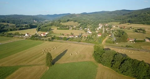 Elsass forest aerial view 库存影片 87451633