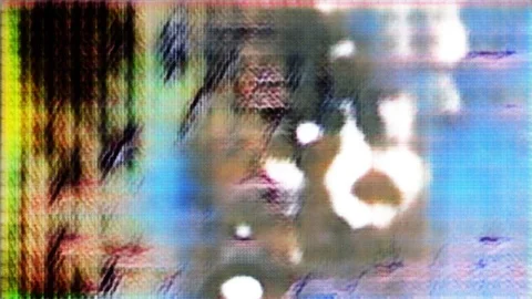 Elusive Features [#1.4] Stock Footage 106006848