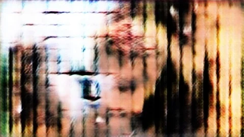 Elusive Features [#2.4] 库存影片 106007051