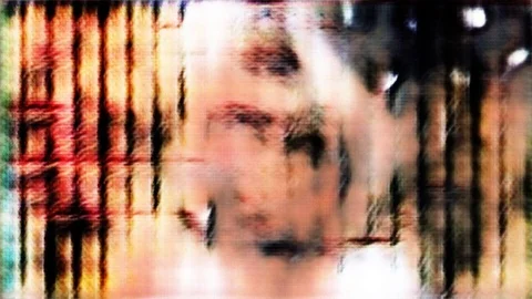 Elusive Features [#3.4] 库存影片 106007303