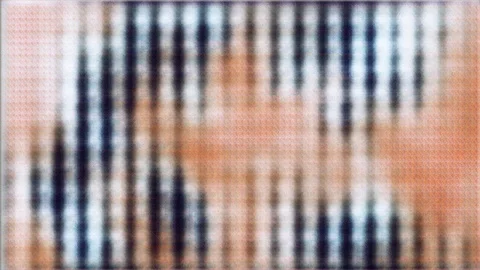 Elusive Features [#4.1] Stock Footage 106135191