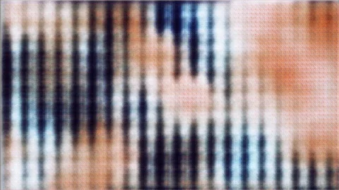 Elusive Features [#5.1] Stock Footage 106007896