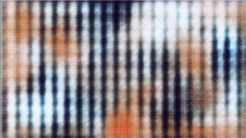 Elusive Features [#6.1] 库存影片 106008186