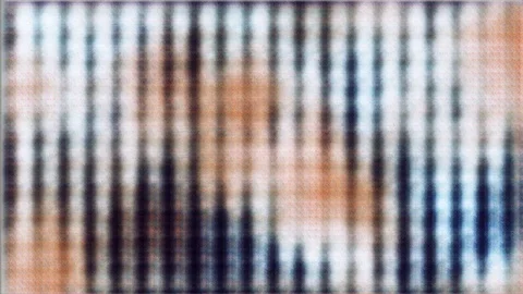 Elusive Features [#7.1] Stock Footage 106008476