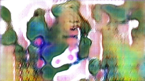 Elusive Features [#7.6] Stock Footage 106008615