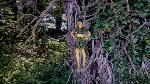 Elves in the tree Stock Footage 76436450