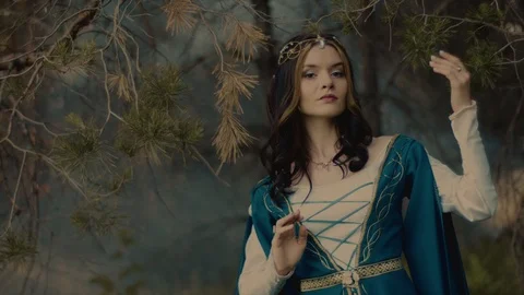 Elvish queen posing in forest. Stock-Footage 92215584
