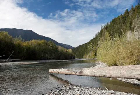 Elwha River 스톡 사진