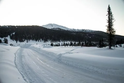 Ely on the background of an excellent mountain landscape. Stock Photos
