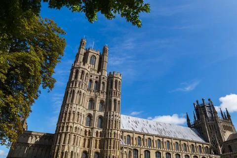Ely Cathedral under the trees Stock Photos