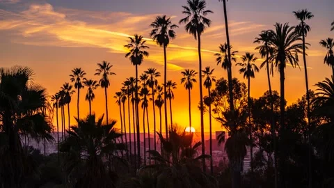 Elysian Park sunset 4 sec int 360 pics 01-01-22 h264-420 BT709L 4KUHD 29.97  Stock Footage 168397343