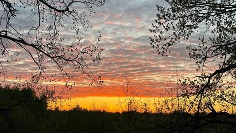 Elysian Twilight Foto stock
