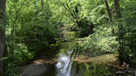 Elz river 스톡 동영상 40277311