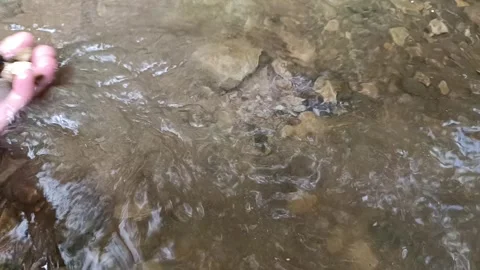 Emale hand getting pretty rocks from under the sand of a river. No luck Stock Footage 258308263