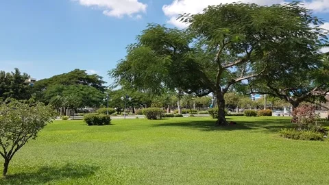 Emancipation Park, Jamaica Stock Footage 256034580