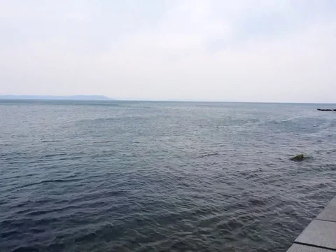 Embankment. Vídeo Stock 74729599