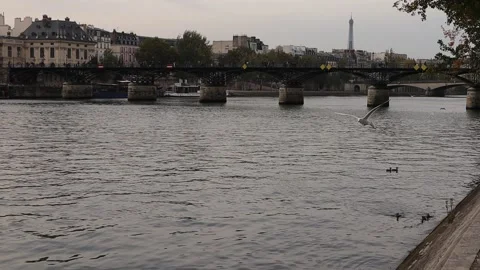 Embankment in Paris. Stock Footage 203896341