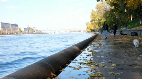Embankment river Stock Footage 205370921