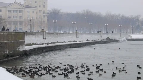 Embankment in winter Stock Footage 102918564