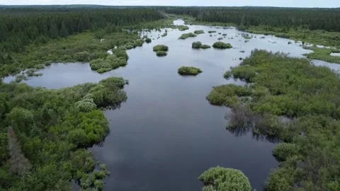 Embarass river. Minnesota Stock Footage 277954064