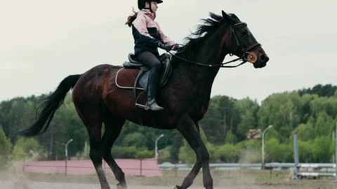 Embark on a dynamic and exhilarating equestrian ride set in a stunning natural Stock Photos