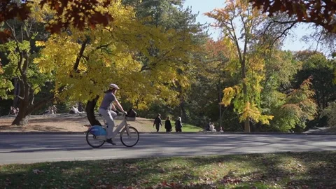Embarking on an Autumn Stroll in the Park A Delightful Experience of Vibrant Stock Footage 291009953