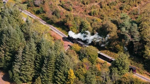 Embarking on a Scenic Train Journey Through Beautiful Autumn Forests and Vibrant Stock-Footage 317716684